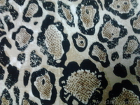 Extenzi Textile - <ro>Изображение</ro><ru>Изображение</ru> #3, <ru>Объявление</ru> #467648