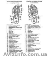 Магнитно-массажные, лечебно-профилактические стельки  БИОМАГ      - <ro>Изображение</ro><ru>Изображение</ru> #2, <ru>Объявление</ru> #471892