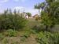 Продам дом в центре Великого Бурлука - <ro>Изображение</ro><ru>Изображение</ru> #1, <ru>Объявление</ru> #482146