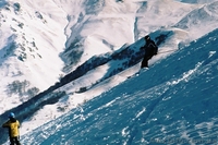 Активный отдых в Бакуриани - <ro>Изображение</ro><ru>Изображение</ru> #1, <ru>Объявление</ru> #527058