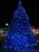 Декоративное светодиодное освещение, праздничная иллюминация - <ro>Изображение</ro><ru>Изображение</ru> #1, <ru>Объявление</ru> #555627