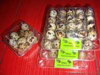 Яйца перепелиные - <ro>Изображение</ro><ru>Изображение</ru> #2, <ru>Объявление</ru> #310461