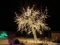 Декоративное светодиодное освещение, праздничная иллюминация - <ro>Изображение</ro><ru>Изображение</ru> #5, <ru>Объявление</ru> #555627