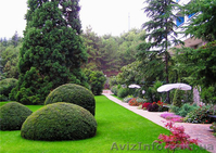 Туры в Крым из Харькова. Навигатор Украина.Парад тюльпанов  - <ro>Изображение</ro><ru>Изображение</ru> #3, <ru>Объявление</ru> #589175