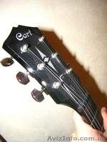 ПРОДАМ электрогитару:CORT cr50 + комбоусилитель: Roland 15xl - <ro>Изображение</ro><ru>Изображение</ru> #3, <ru>Объявление</ru> #628098