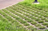  газонная решетка,европарковка - <ro>Изображение</ro><ru>Изображение</ru> #2, <ru>Объявление</ru> #636779