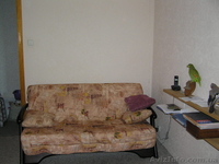 Сдам 2-х комнатную квартиру на Алексеевке,    - <ro>Изображение</ro><ru>Изображение</ru> #9, <ru>Объявление</ru> #633991