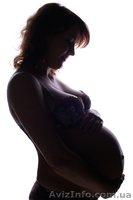 Профессиональная свадебная и портретная фотосъемка - <ro>Изображение</ro><ru>Изображение</ru> #1, <ru>Объявление</ru> #647918