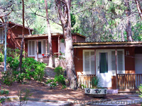 Спешите бронировать путевки в Крым с ЖД проездом из Харькова! Новый Свет, Алушта - <ro>Изображение</ro><ru>Изображение</ru> #2, <ru>Объявление</ru> #654097