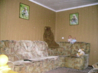 >В сосновом лесу на берегу Печенежского водохранилища продам 2х этажный дом - <ro>Изображение</ro><ru>Изображение</ru> #1, <ru>Объявление</ru> #655305