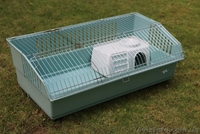 Большая клетка для вашего грызуна - <ro>Изображение</ro><ru>Изображение</ru> #1, <ru>Объявление</ru> #723797