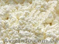 Молочная продукция оптом и в розницу от производителя - <ro>Изображение</ro><ru>Изображение</ru> #2, <ru>Объявление</ru> #706126