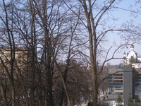 продам свою 3хкомн.кв.на Павловом Поле - <ro>Изображение</ro><ru>Изображение</ru> #4, <ru>Объявление</ru> #754970