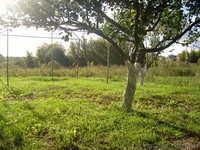 Собственник продаст Дом - <ro>Изображение</ro><ru>Изображение</ru> #4, <ru>Объявление</ru> #755893