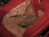 ПРОДАМ сапоги (ботинки) 37 размера фирмы "B&G" - <ro>Изображение</ro><ru>Изображение</ru> #4, <ru>Объявление</ru> #800701