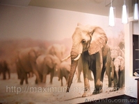 Печать на ткани и фотообои от MAXIMUM  - <ro>Изображение</ro><ru>Изображение</ru> #4, <ru>Объявление</ru> #820297