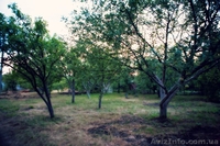 продам свою дачу 15км от Харькова 400м до пляжа на пруду взрослый ухоженный сад  - <ro>Изображение</ro><ru>Изображение</ru> #2, <ru>Объявление</ru> #820482