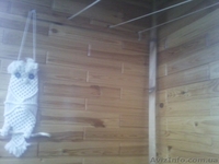 Реставрация Дверей - <ro>Изображение</ro><ru>Изображение</ru> #2, <ru>Объявление</ru> #848038