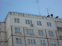 Высотные работы.Утепление фасадов - <ro>Изображение</ro><ru>Изображение</ru> #2, <ru>Объявление</ru> #867840