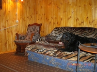     Отдых на уютной даче в деревне Студенок  и 2 ком.квартира в центре - <ro>Изображение</ro><ru>Изображение</ru> #9, <ru>Объявление</ru> #553374