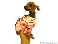 супер мини девочка - <ro>Изображение</ro><ru>Изображение</ru> #4, <ru>Объявление</ru> #888208