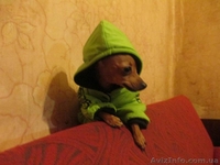 супер мини девочка - <ro>Изображение</ro><ru>Изображение</ru> #3, <ru>Объявление</ru> #888208