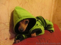 супер мини девочка - <ro>Изображение</ro><ru>Изображение</ru> #2, <ru>Объявление</ru> #888208