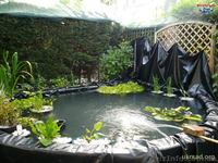 Пленка ПВХ для водоемов, ПВХ изоляция пруда - <ro>Изображение</ro><ru>Изображение</ru> #4, <ru>Объявление</ru> #892007