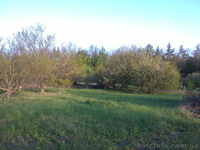 продам дачный участок   в волчанском районе   пгт. старый салтов     . - <ro>Изображение</ro><ru>Изображение</ru> #1, <ru>Объявление</ru> #894511