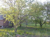 продам дачный участок   в волчанском районе   пгт. старый салтов     . - <ro>Изображение</ro><ru>Изображение</ru> #8, <ru>Объявление</ru> #894511