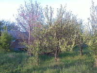 продам дачный участок   в волчанском районе   пгт. старый салтов     . - <ro>Изображение</ro><ru>Изображение</ru> #4, <ru>Объявление</ru> #894511