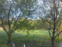 продам дачный участок   в волчанском районе   пгт. старый салтов     . - <ro>Изображение</ro><ru>Изображение</ru> #9, <ru>Объявление</ru> #894511