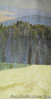 Продам картину(масло)  - <ro>Изображение</ro><ru>Изображение</ru> #5, <ru>Объявление</ru> #265072