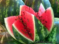 Продажа арбузов с поля  - <ro>Изображение</ro><ru>Изображение</ru> #3, <ru>Объявление</ru> #942924