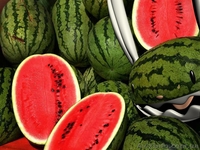 Продажа арбузов с поля  - <ro>Изображение</ro><ru>Изображение</ru> #2, <ru>Объявление</ru> #942924