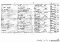 продам породистых щенков русско-европейской лайки - <ro>Изображение</ro><ru>Изображение</ru> #1, <ru>Объявление</ru> #981152