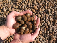 Керамзит.Щебень.Песок.Гранотсев.Цемент.Кирпич. - <ro>Изображение</ro><ru>Изображение</ru> #3, <ru>Объявление</ru> #983646