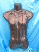 Торговое оборудование в Харькове - <ro>Изображение</ro><ru>Изображение</ru> #3, <ru>Объявление</ru> #986355