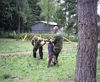 Дрессировка собак.  Харьков и пригород - <ro>Изображение</ro><ru>Изображение</ru> #2, <ru>Объявление</ru> #512962