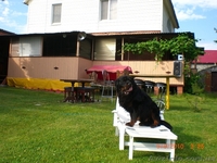 Сдам для отдыха уютную дачу в Святогорске и квартиру  в  центре. - <ro>Изображение</ro><ru>Изображение</ru> #2, <ru>Объявление</ru> #213633