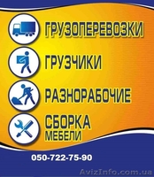 Грузчики, услуги грузчиков, автоперевозка - <ro>Изображение</ro><ru>Изображение</ru> #2, <ru>Объявление</ru> #1105206