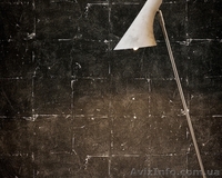 Коллекция обоев Daniel Hechter в салоне Artis! - <ro>Изображение</ro><ru>Изображение</ru> #5, <ru>Объявление</ru> #1111790