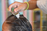 Гребень Nit Free (AntiV, ASSY 2000, Nitty Gritty) - средство от вшей и гнид №1 в - <ro>Изображение</ro><ru>Изображение</ru> #6, <ru>Объявление</ru> #1154189