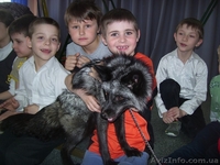 Незабываемый детский День Рождения в кафе «Kitty» - <ro>Изображение</ro><ru>Изображение</ru> #3, <ru>Объявление</ru> #1154799