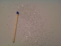 Продам Карбонат кальция (углекислый кальций) - <ro>Изображение</ro><ru>Изображение</ru> #5, <ru>Объявление</ru> #1156159