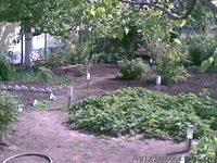 Уютный дом с капитальным ремонтом.Ново-Западный - <ro>Изображение</ro><ru>Изображение</ru> #3, <ru>Объявление</ru> #1159023