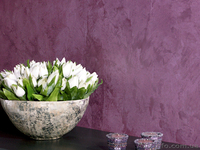 Продажа и нанесение декоративных штукатурок Харьков! - <ro>Изображение</ro><ru>Изображение</ru> #2, <ru>Объявление</ru> #1217074