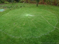 Кастигновую сеть - <ro>Изображение</ro><ru>Изображение</ru> #2, <ru>Объявление</ru> #1235615