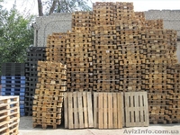 Европоддоны деревянные, пластиковые. Евротара-Харьков - <ro>Изображение</ro><ru>Изображение</ru> #1, <ru>Объявление</ru> #1232449