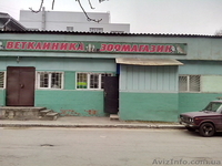 Кастрация кота, стерилизация кошек 093-408-09-36   - <ro>Изображение</ro><ru>Изображение</ru> #3, <ru>Объявление</ru> #556659